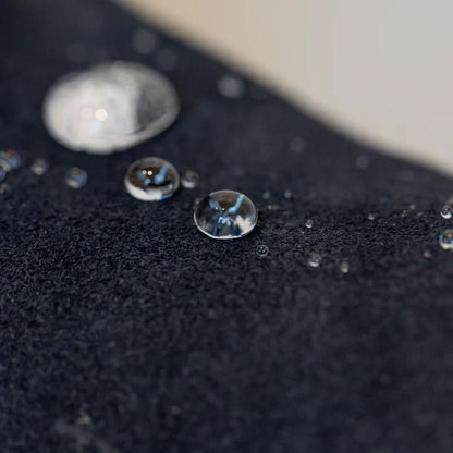 Prosheld Guardian Spray 100ML (Pack of 2)